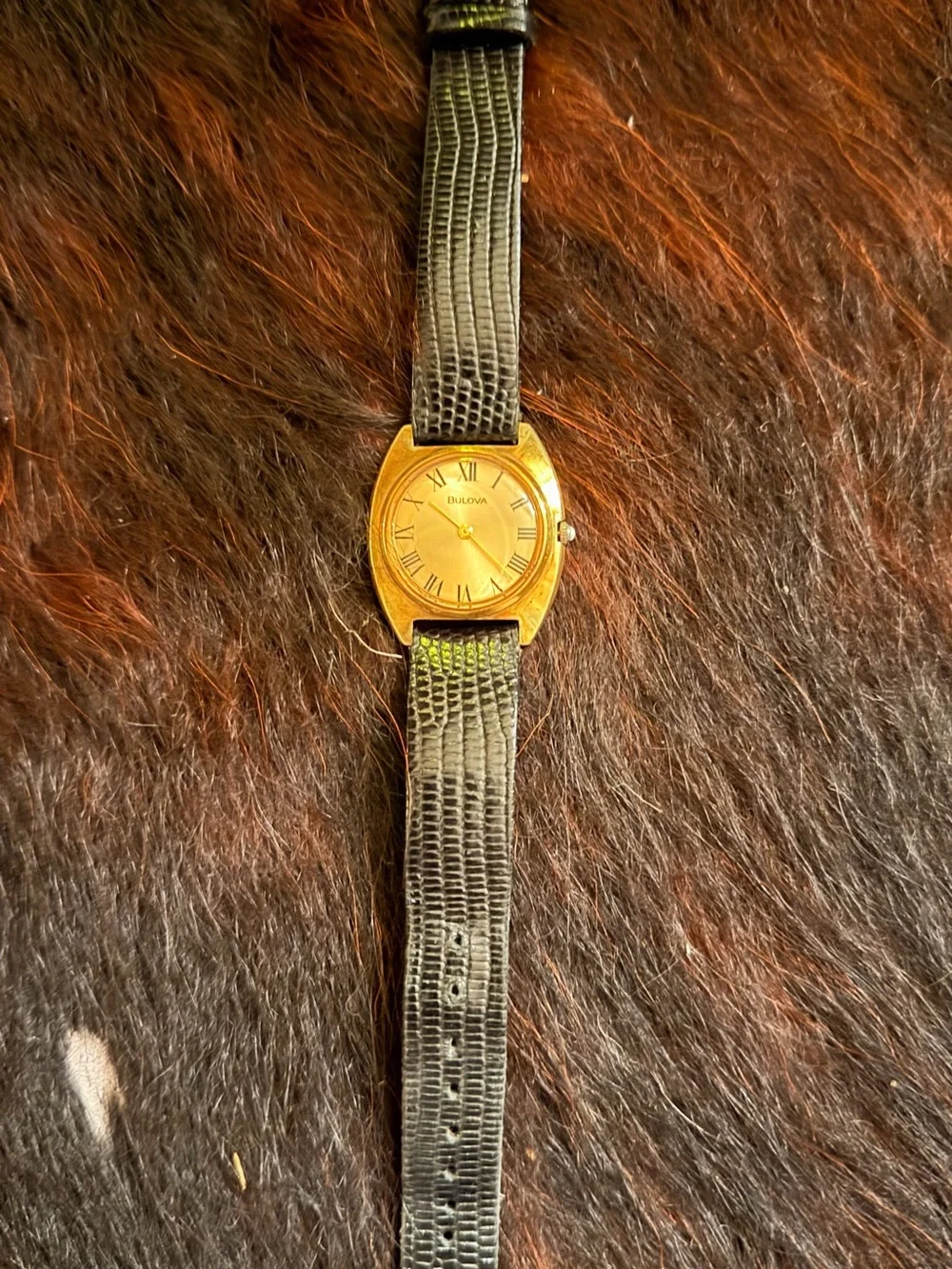 Bulova Gold Dial Dress Watch with Black Leather Strap